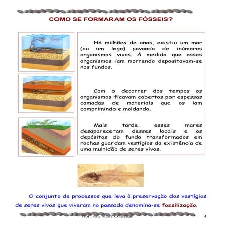 Como se formaram os fósseis
