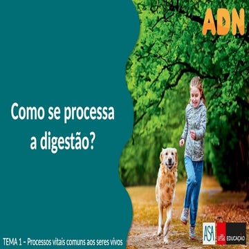 Como se processa a digestão_.pptx........................ | PPTX