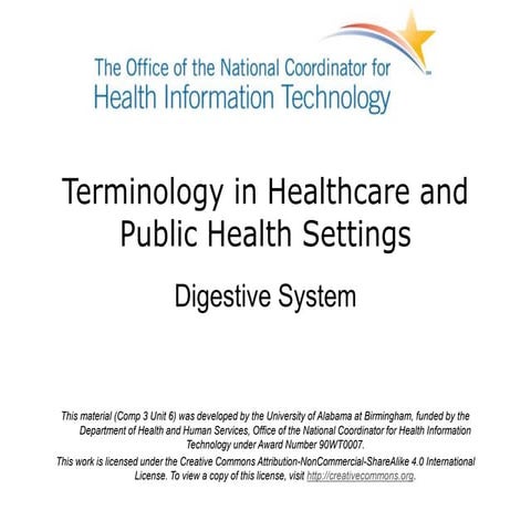 Digestive System lecture slides
