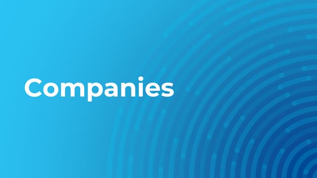 What kinds of companies do software development?