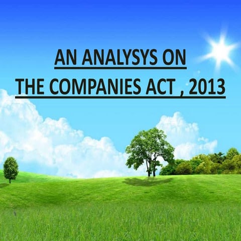 Analysis on the Companies Act, 2013