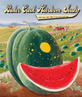 Top 10 Quotes On Breed