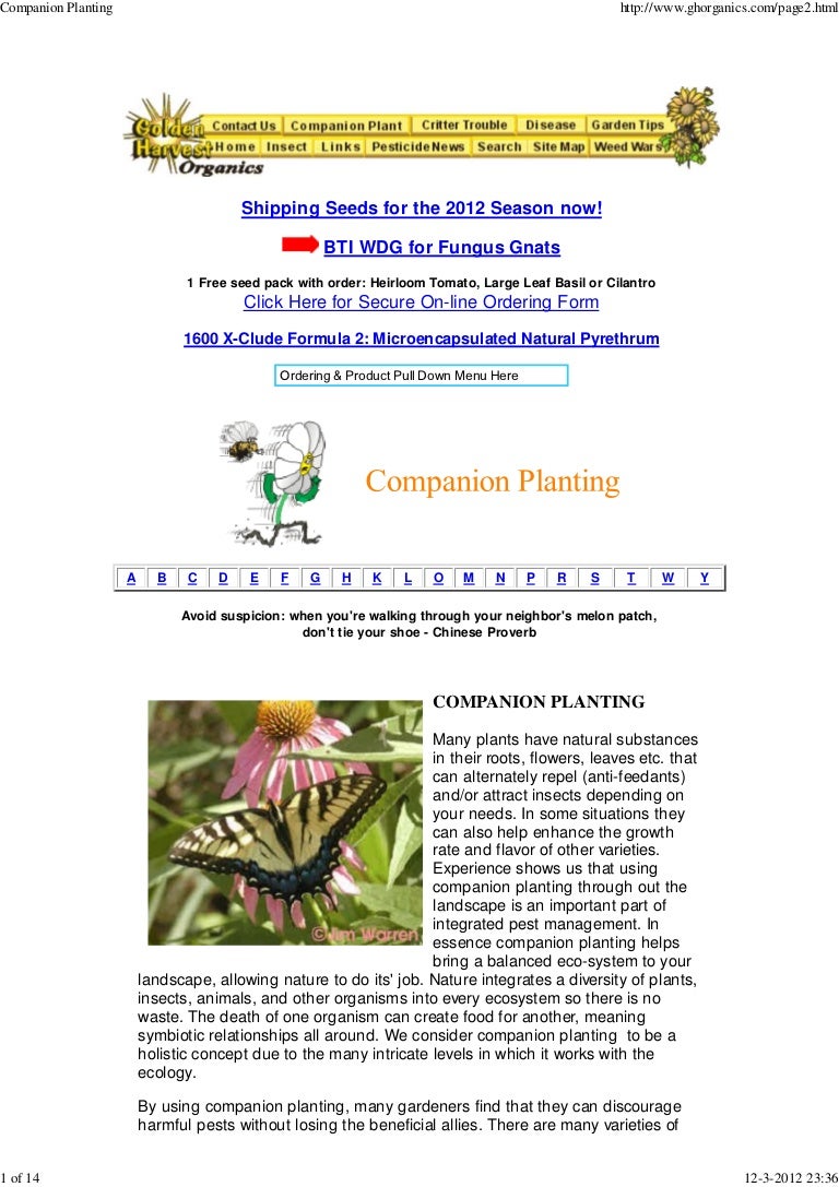 Flower Companion Planting Chart