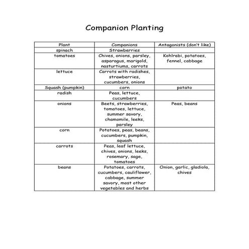 Companion Planting Chart for Vegetables - Peace of Preparedness | PDF