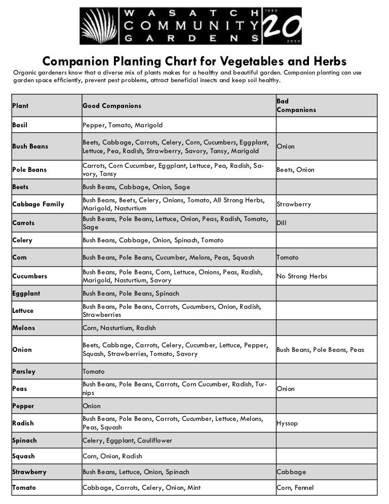 When To Plant Chart