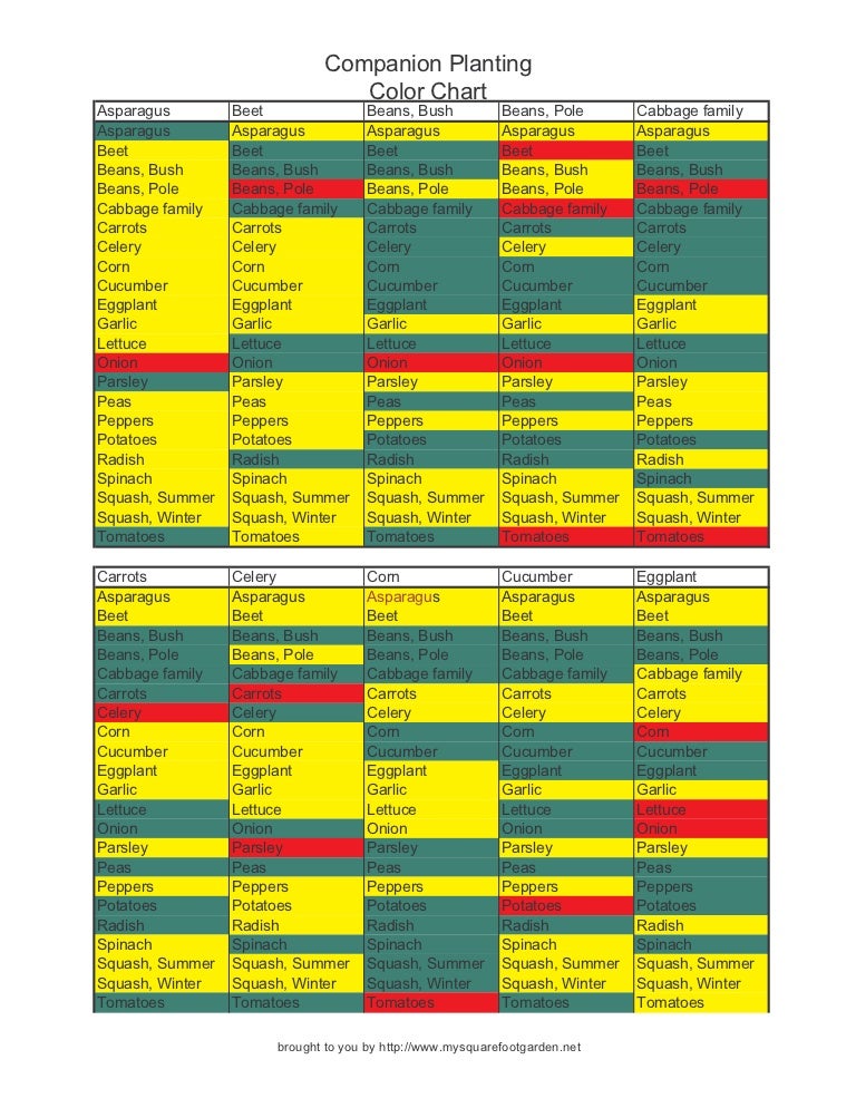 Plant Color Chart