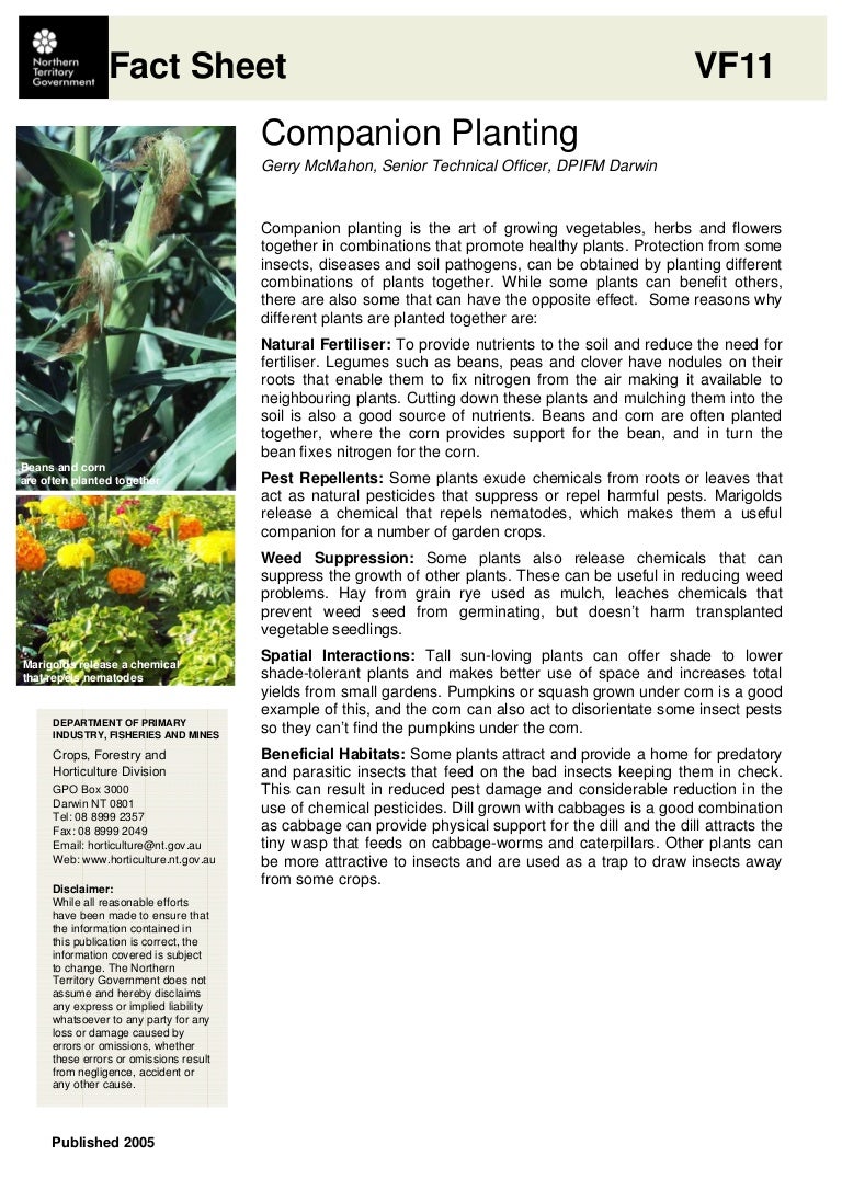 Companion Planting Fact Sheet - Northern Territory, Australia