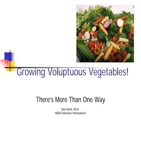 Companion Plantings and Growing Voluptuous Vegetables