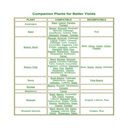 Companion Plants Chart - Eco-Pratique | PDF