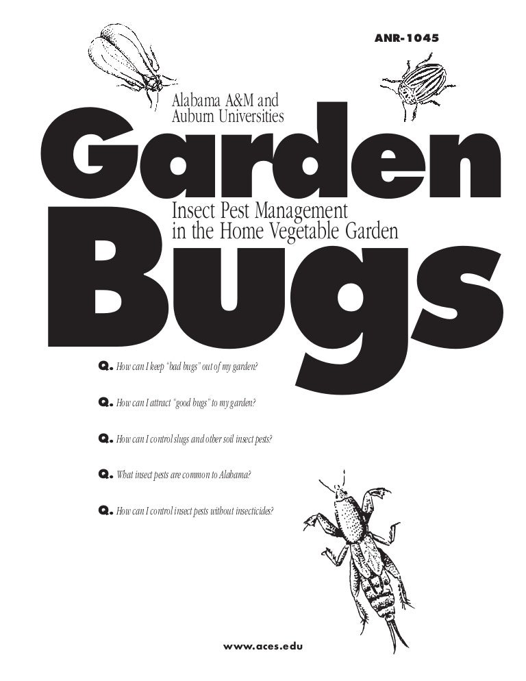 Garden Insect Pest Management In The Home Vegetable Garden Auburn U Garden Insect Pest Management In The Home Vegetable Garden Auburn U