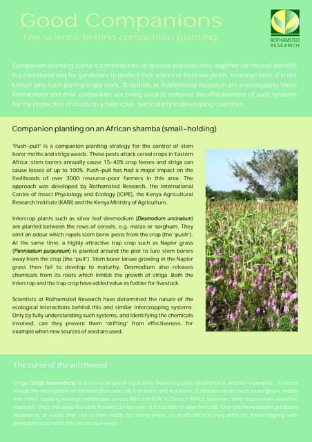 Good Companions: The Science Behind...