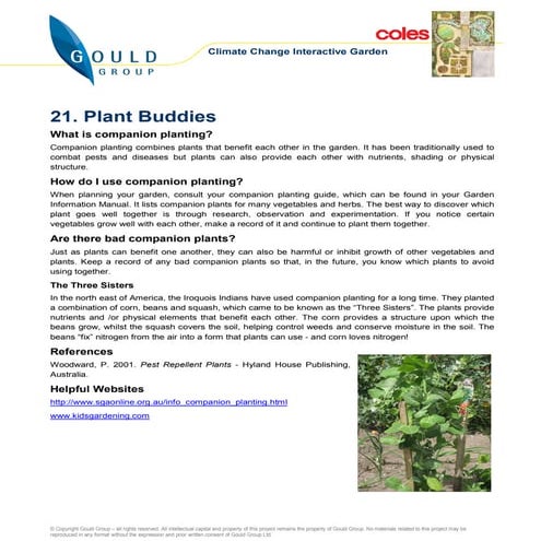 Plant Buddies, Companion Planting - Australia