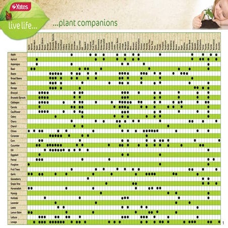 Plant Companions Chart - Australia