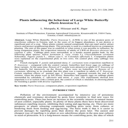 Plants Influencing the Behavior of Large White Butterfly