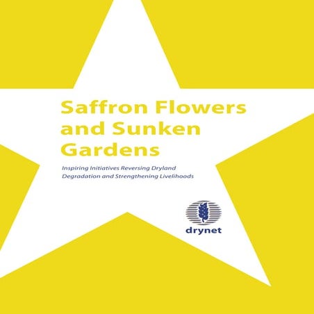 Saffron Flowers and Sunken Gardens: Inspiring Initiatives Reversing Dryland Degradation and Strengthening Livelihoods 