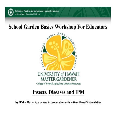 School Garden Basics Workshop For Educators - Hawaii