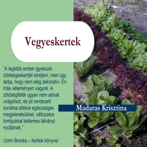 Vegyeskertek - Hungarian Language