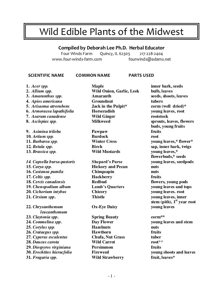 Wild Edible Plants of the Midwest