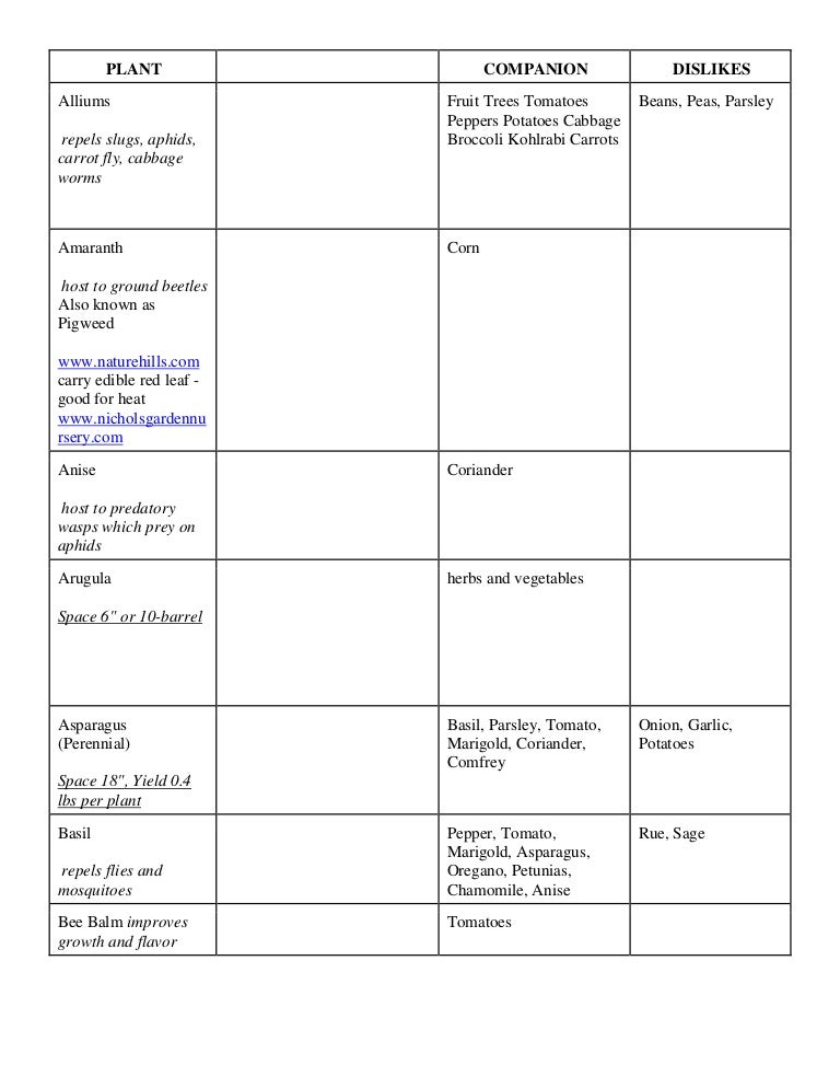 Broccoli Companion Planting Chart