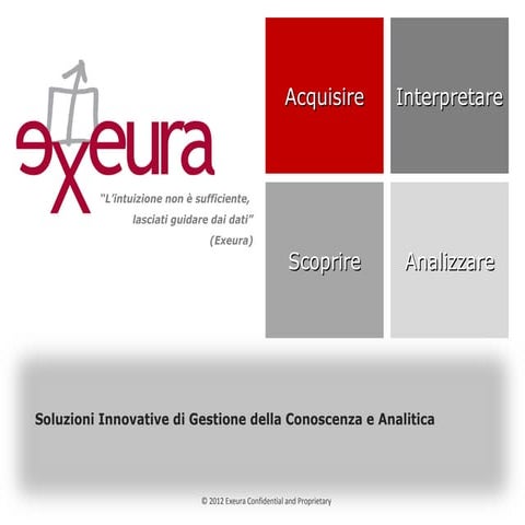 Exeura Company Overview