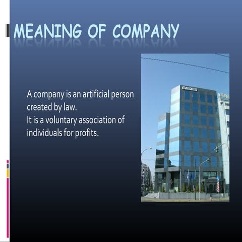 Company ppt