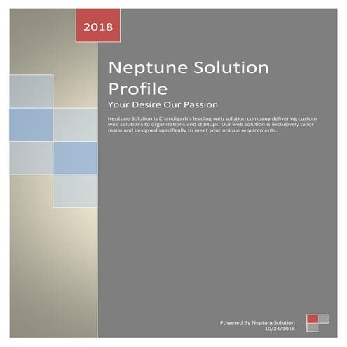 Neptune Solution | PDF