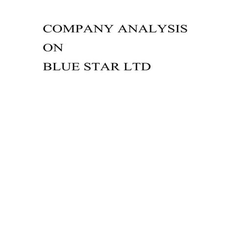 Company Analysis Of Blue Star
