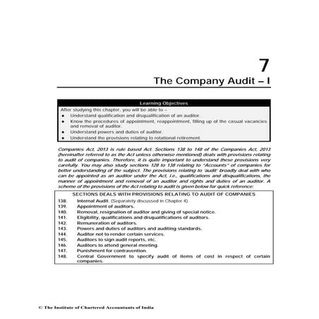 Company audit  1