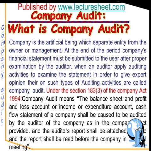 Company audit