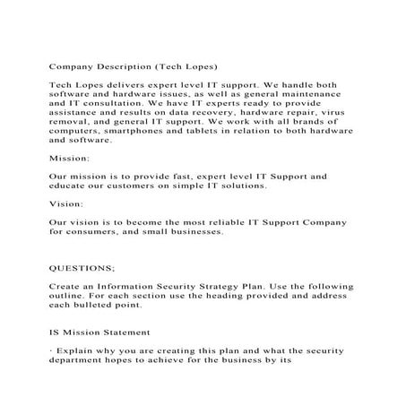 Company Description (Tech Lopes)Tech Lopes delivers expert l.docx