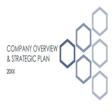 Company Overview & Strategic Plan Template by McKinsey Alum.pdf