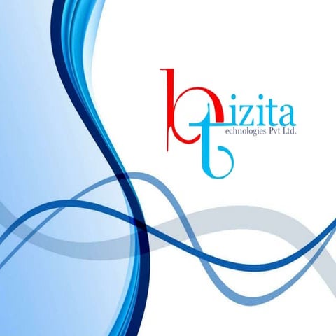 Company portfolio Bizita Technologies