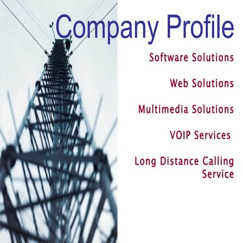 Company profile