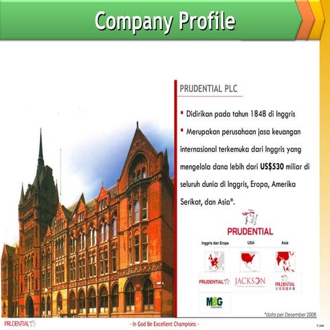 Company profile