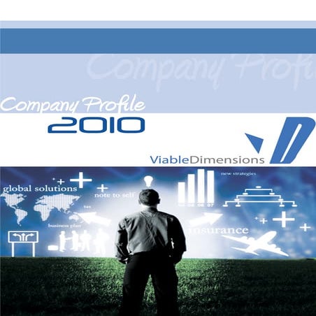 Viable Dimensions Company Profile