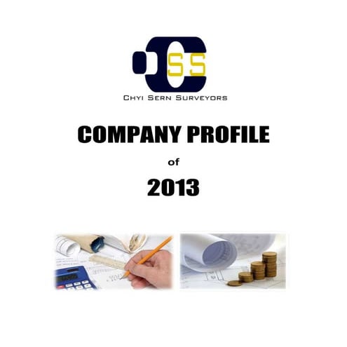 Company profile