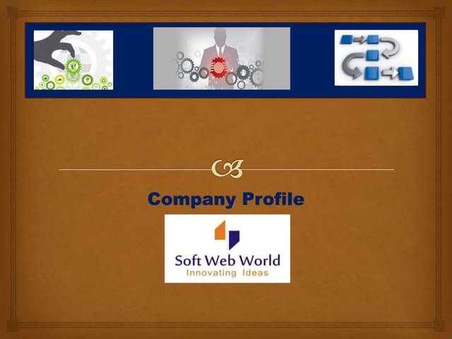 Company profile