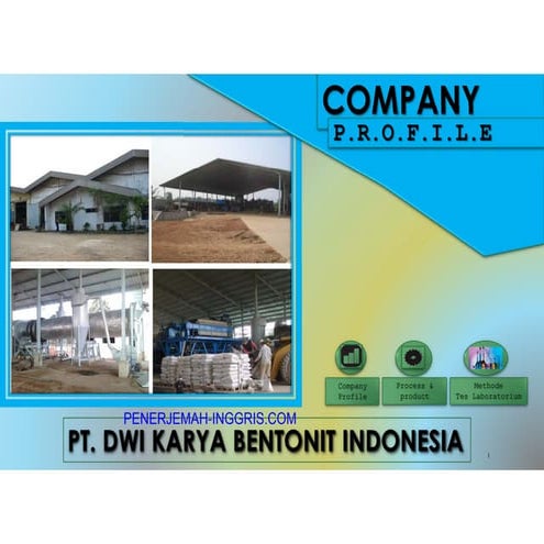Company profile