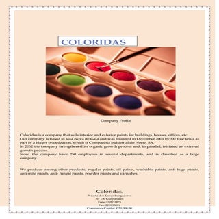  T17 Company profile lúcia