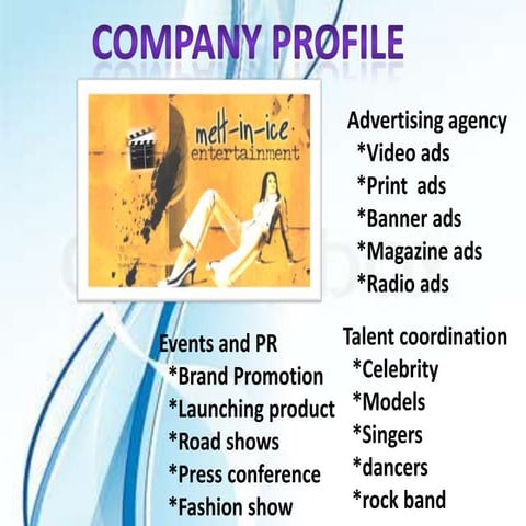 Company profile 
