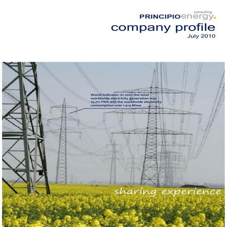 Company Profile Principio Eng July 10