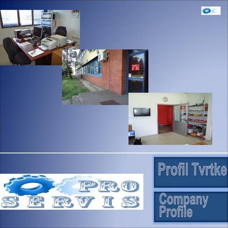 Company profile Pro servis link