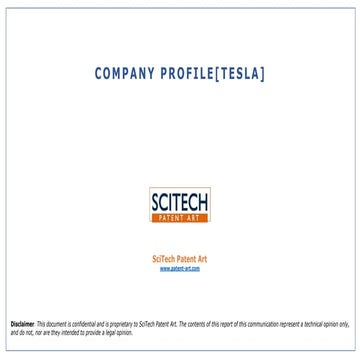 Tesla Company Profile_Report, Tesla company