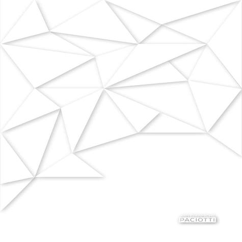 Arti Grafiche Paciotti Company Profile