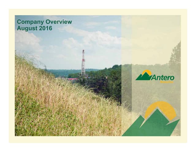 Company website presentation   august 2016