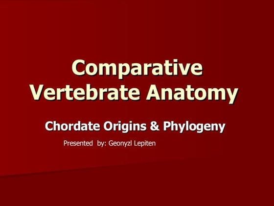 Frog dissecting | PPT