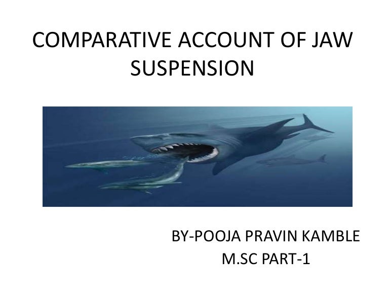 Comparative account of jaw suspension