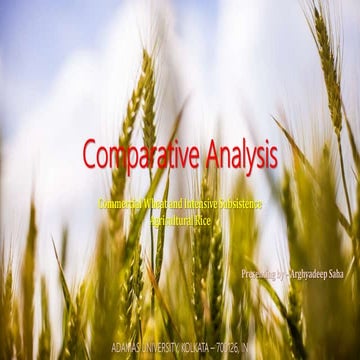 Comparative analysis of commercial wheat and intensive subsistence agricultural rice