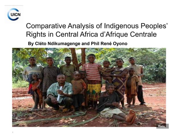 thumbnail of  Comparative analysis of indigenous peoples' rights in Central Africa d'Afrique Centrale
