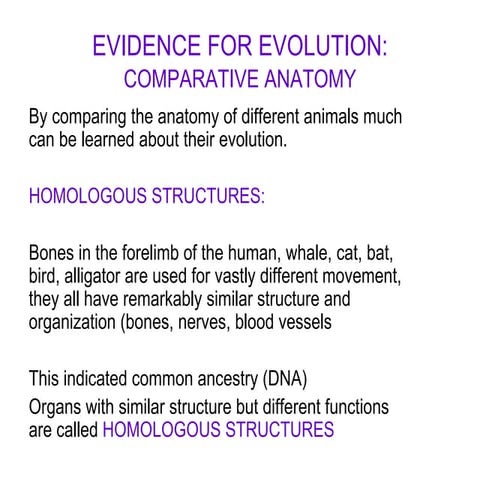 Comparative Anatomy